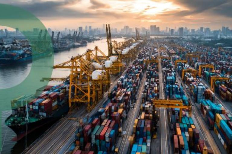 Gestione della Supply Chain SCM Efficienza dai Fornitori al Cliente Gestione della Supply Chain SCM Efficienza dai Fornitori al Cliente
