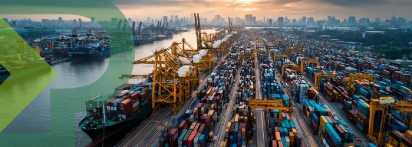 Gestione della Supply Chain SCM Efficienza dai Fornitori al Cliente Gestione della Supply Chain SCM Efficienza dai Fornitori al Cliente